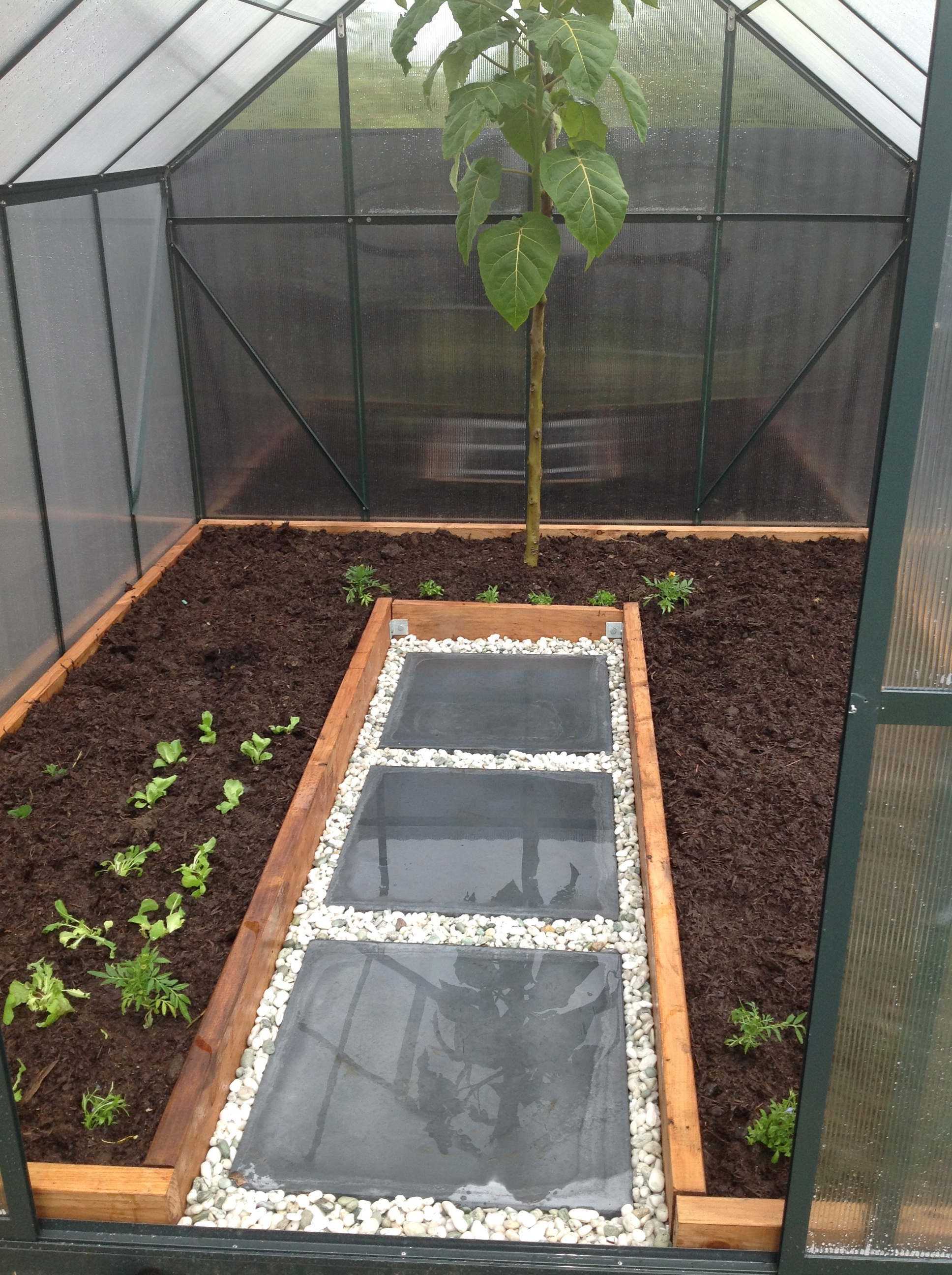 Greenhouse Gardening: Pots verses Planting in the Soil