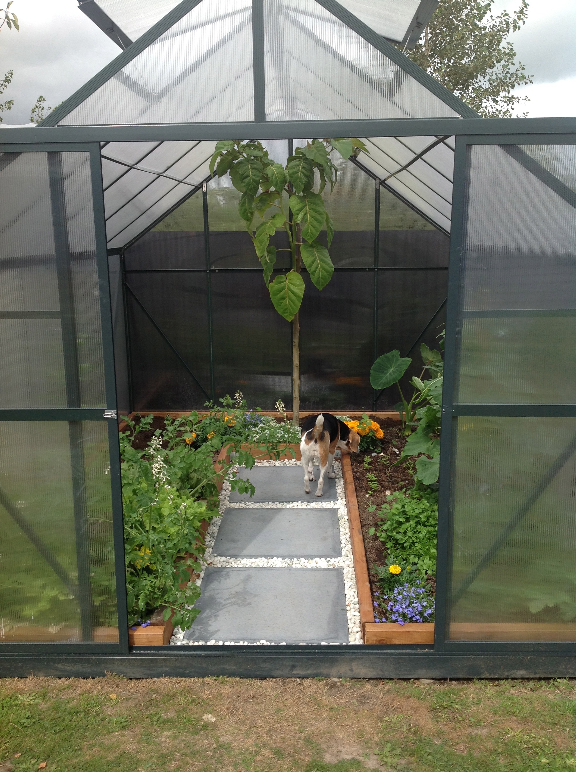 What’s Growing: March 16, 2014