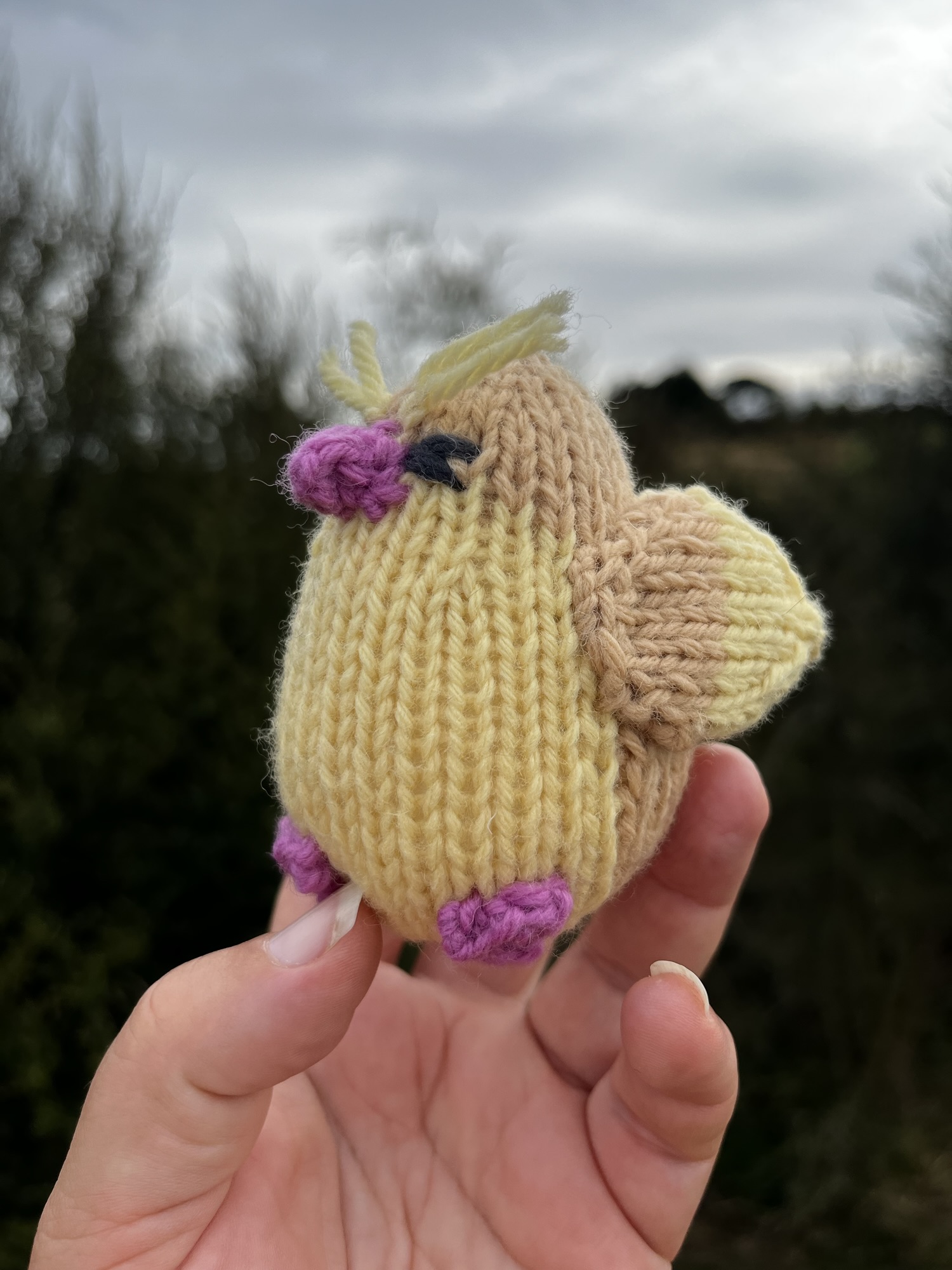 Free Pokémon Knitting Pattern – Pidgey